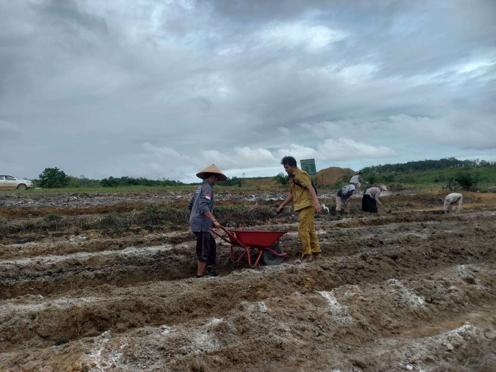 Dimonitoring bersama Kepala Bidang TPH DKPP Kab. Bangka Barat