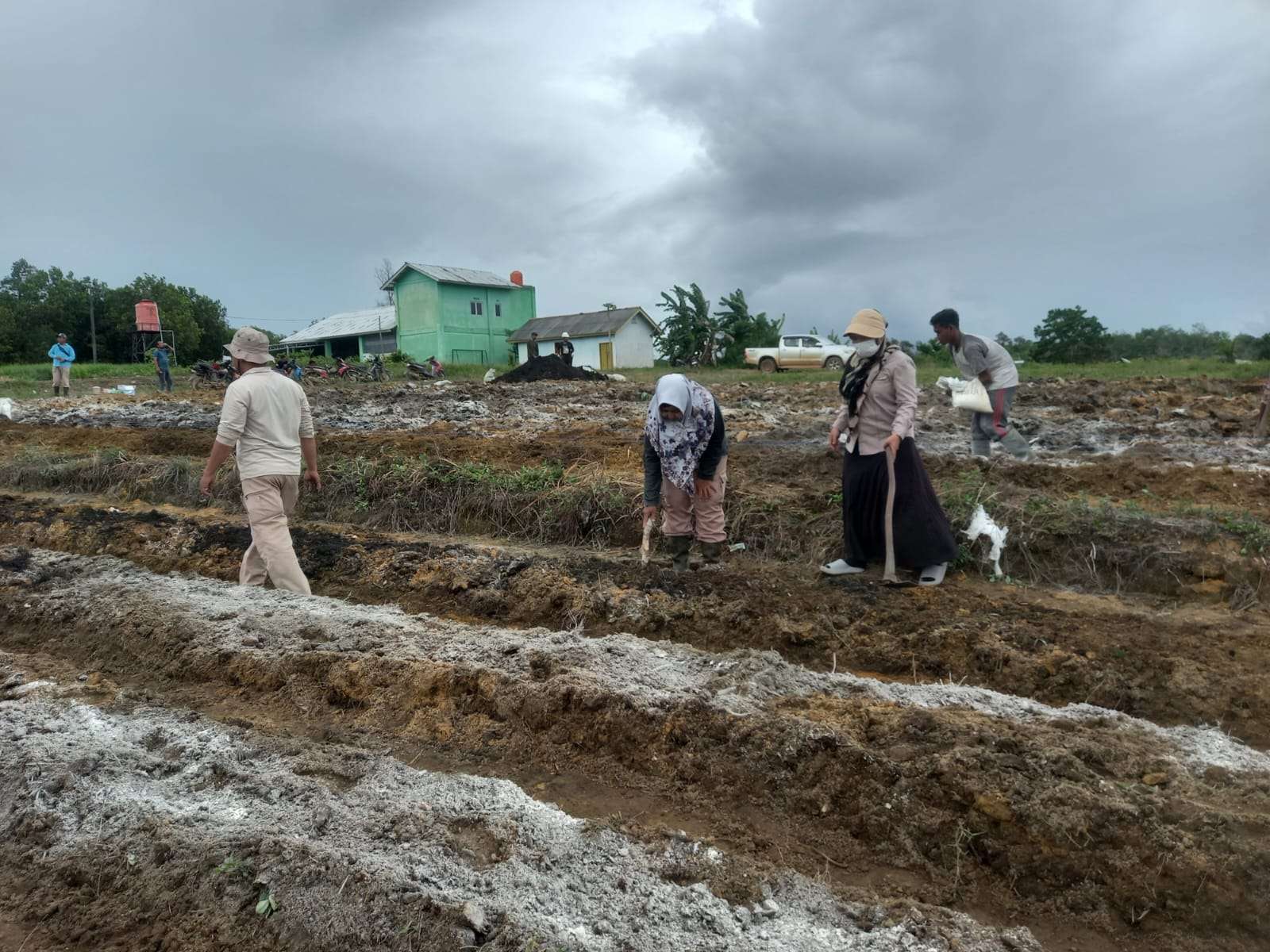 Tim Desa Air Limau, Tim Polres Bangka Barat, DKPP, dan Tim BPP Mentok bekerjasama melakukan persiapan olah tanah untuk kegiatan penanaman jagung