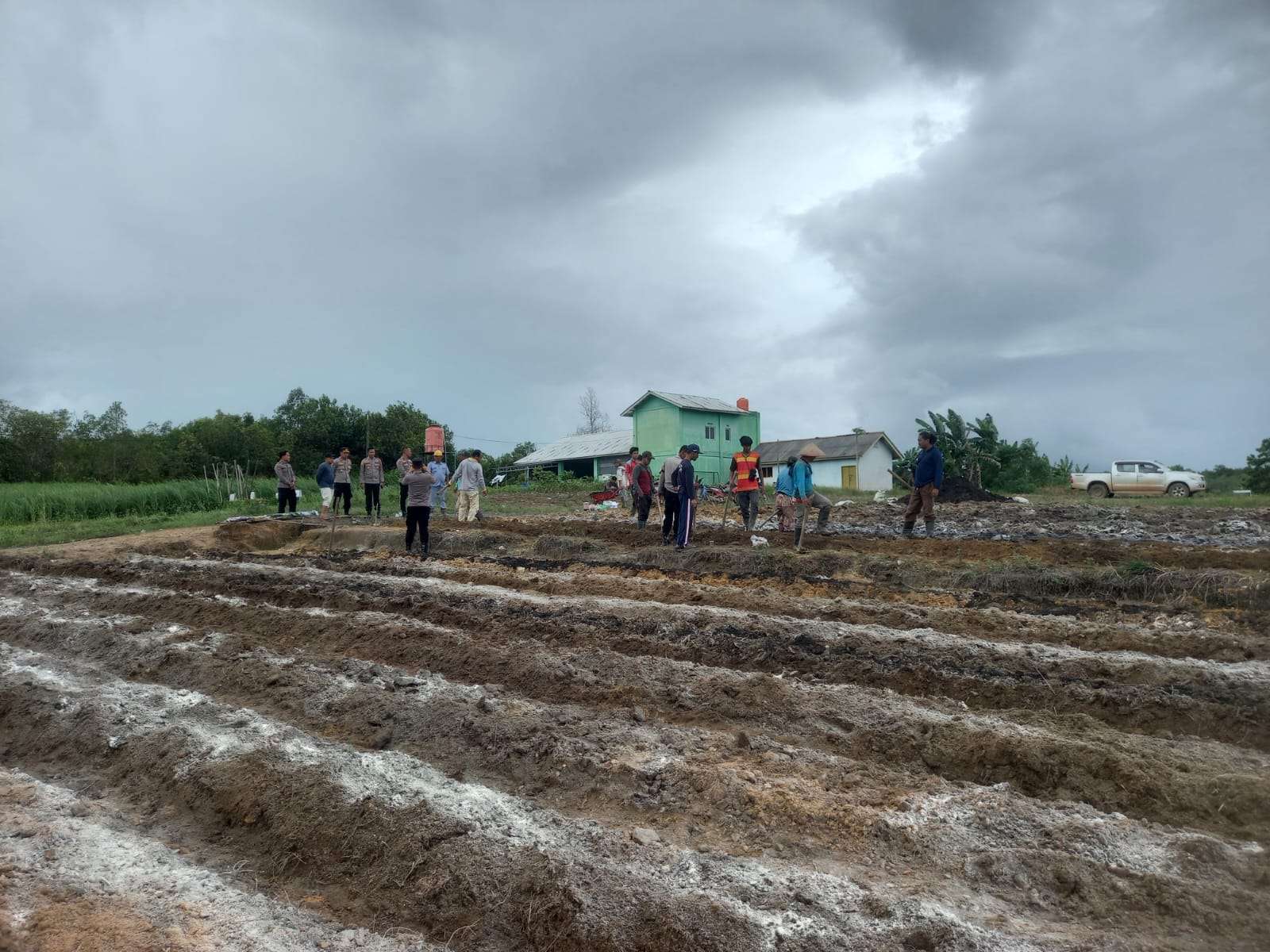Gotong-royong Persiapan Tanam Jagung di Desa Air Limau