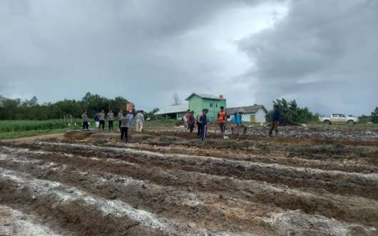 Gotong-royong Persiapan Tanam Jagung di Desa Air Limau
