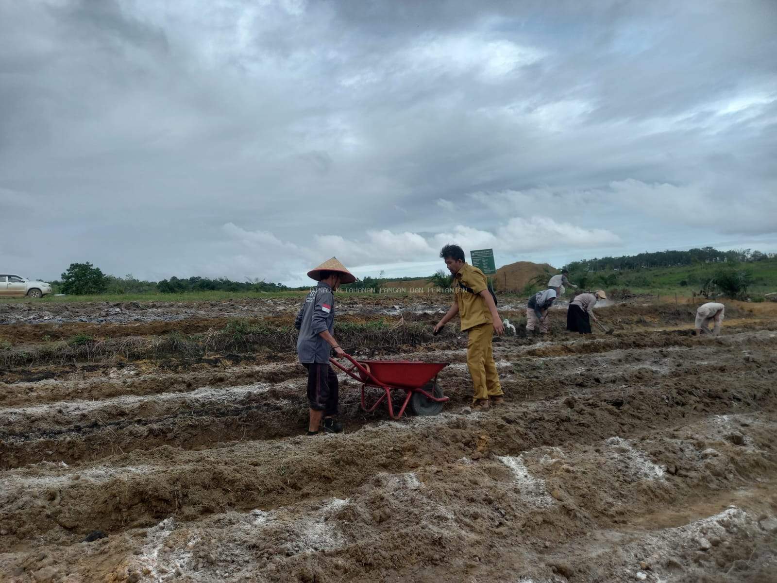 Gotong Royong Persiapan Tanam Jagung di Desa Air Limau untuk Mendukung Ketahanan Pangan