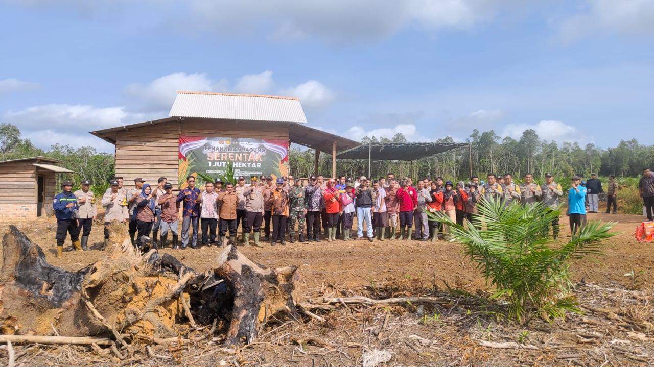 Tanam Jagung Serempak di Kecamatan Jebus