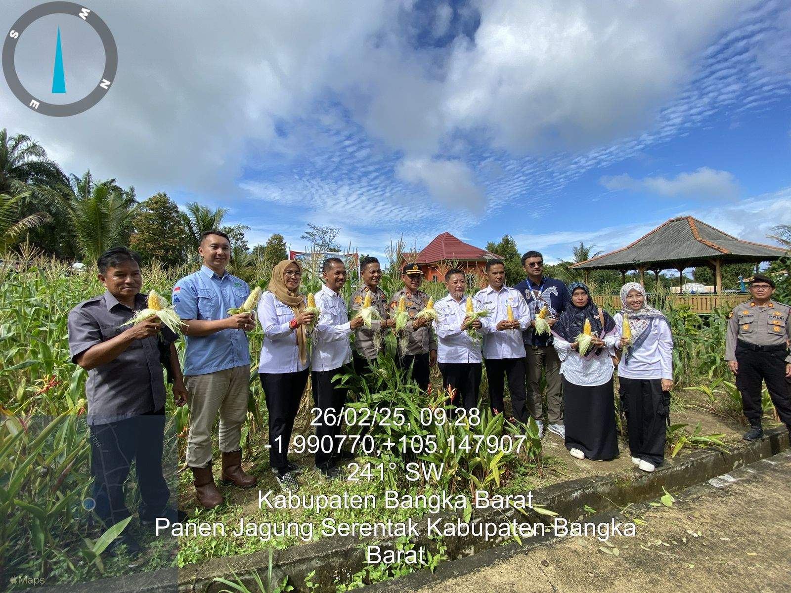PANEN RAYA JAGUNG SERENTAK TAHAP I (DESA AIR PUTIH, MENTOK)