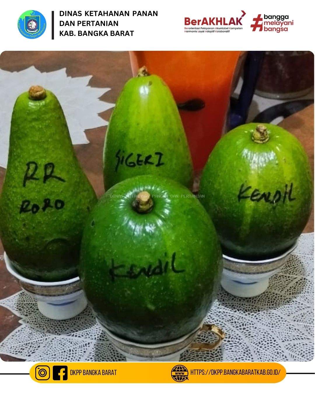 BPP Jebus Mendapat Kunjungan Petani Alpukat