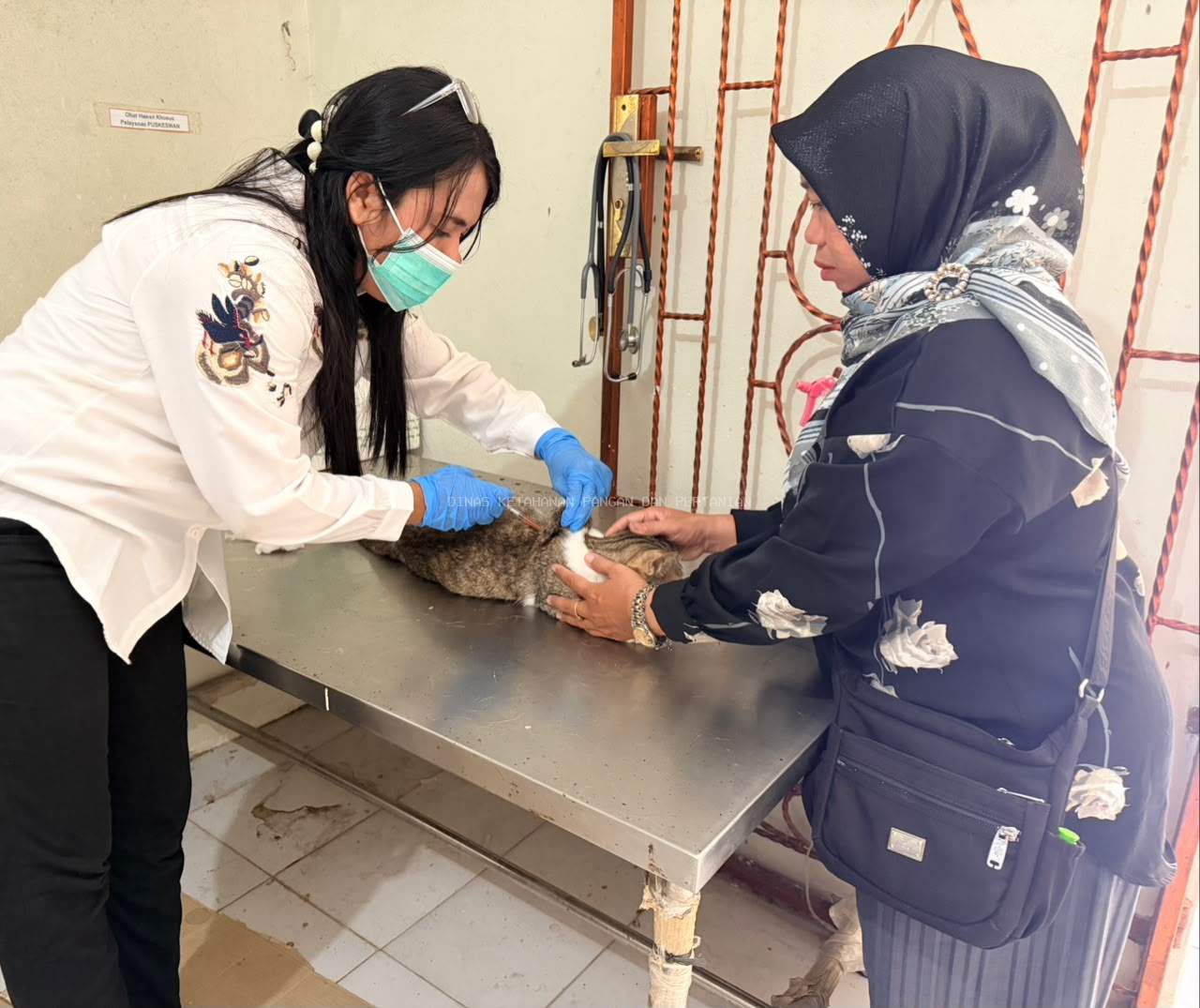 PUSKESWAN DKPP Bangka Barat, Garda Terdepan Pelayanan Kesehatan Hewan untuk Masyarakat