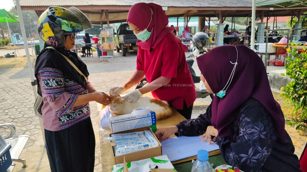 Lindungi Hewan Kesayangan, Lindungi Keluarga: DKPP Bangka Barat Gelar Vaksinasi Rabies Gratis